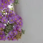 Hotell Sourmeli Garden *