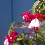 Sourmeli Garden Hotell