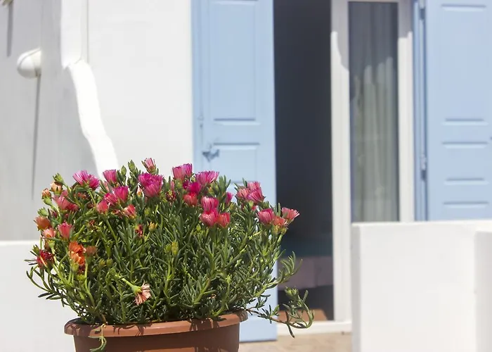 Sourmeli Garden * Mykonos Town