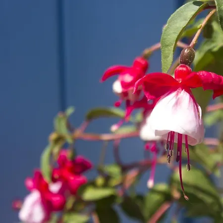 Sourmeli Garden Hotel