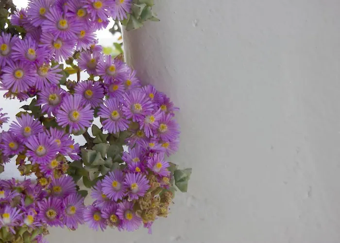 Hotel Sourmeli Garden *