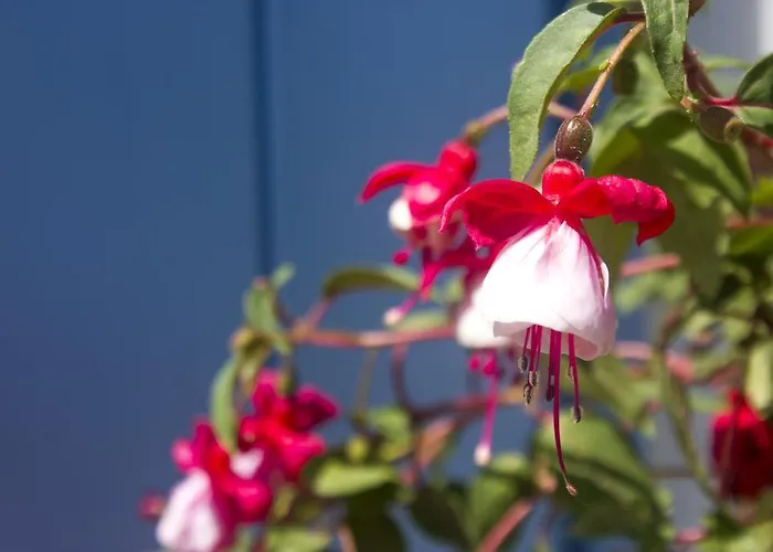 Sourmeli Garden Hotel